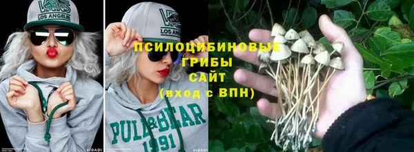 молекула духа Бронницы