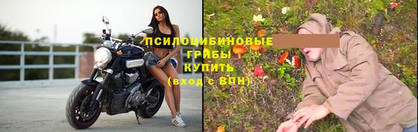 гашик Новодвинск