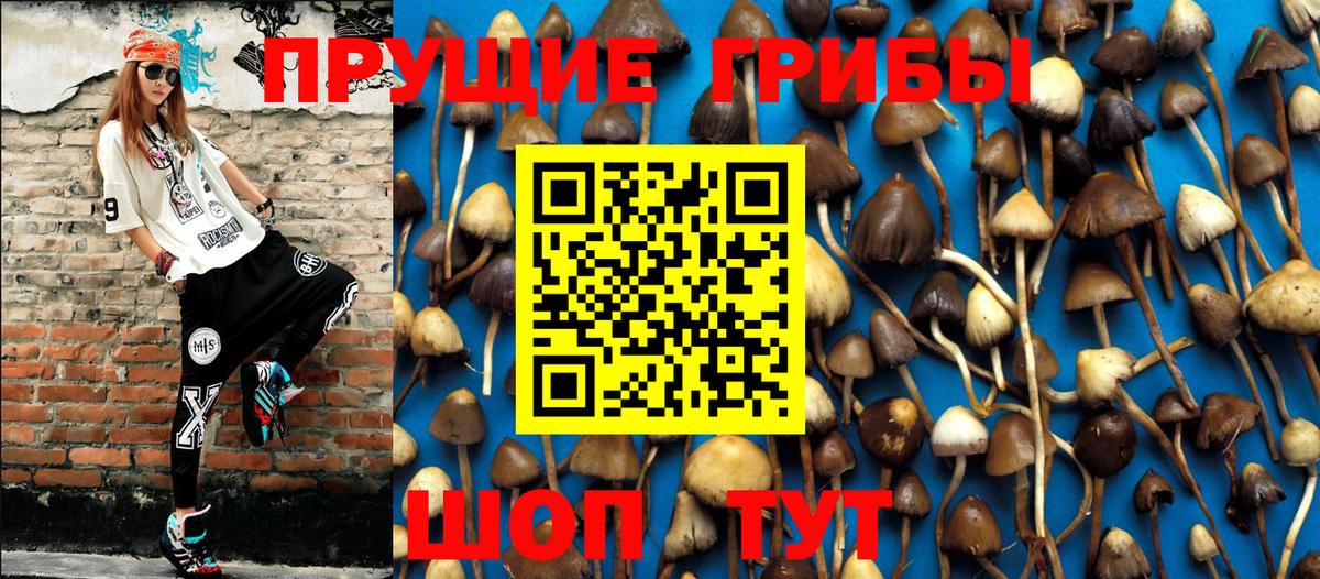 Псилоцибиновые грибы ЛСД Якутск