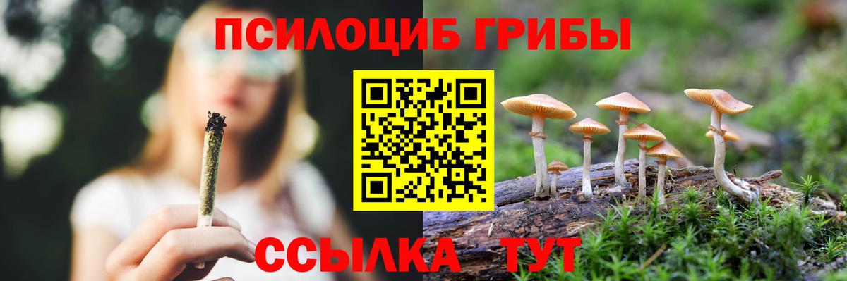 Псилоцибиновые грибы прущие грибы  Вход с VPN  Якутск  Галлюциногенные грибы GOLDEN TEACHER 